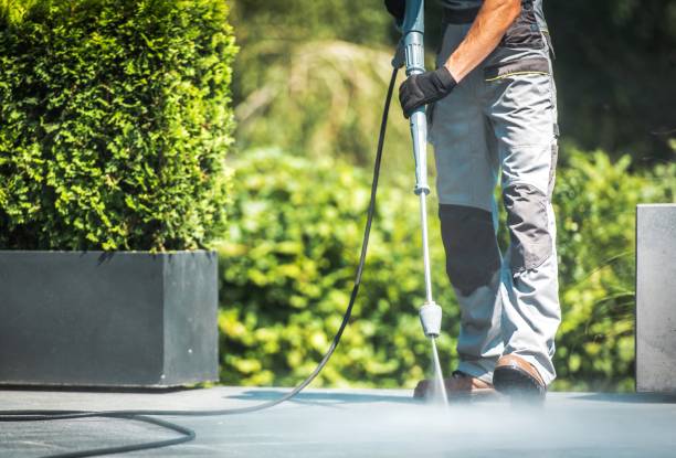 Professional Pressure Washing Services in West Carthage, NY
